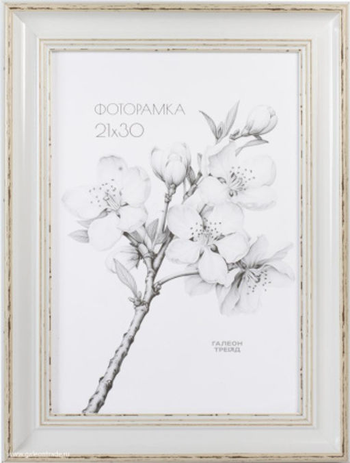 Фоторамка 21х30 / CH752 White /уп10