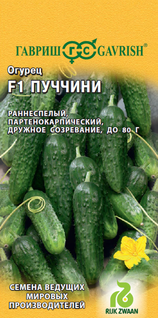 Пуччини F1 огурец 5 шт (г)