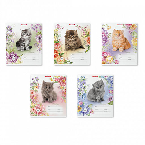 Цена за 280 шт. Тетрадь школьная ученическая ErichKrause Мурзики, 12 листов, клетка (в плёнке по 10 шт.)  фото 2