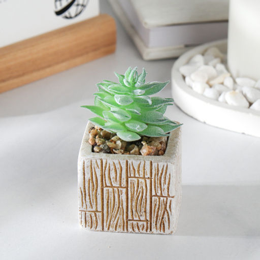 Цветочная композиция Кактус / WER-15 /уп 12/288/ микс - Галеонтрейд фото 11