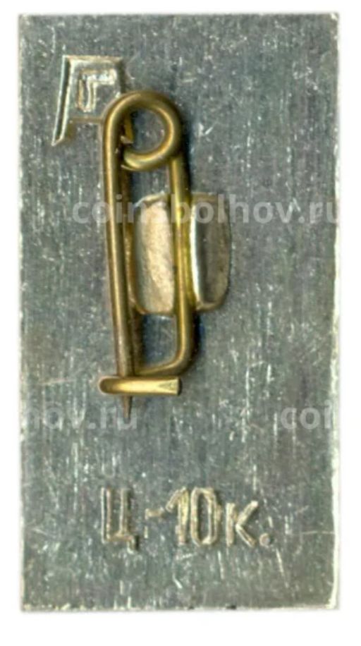 Значок Гатчина