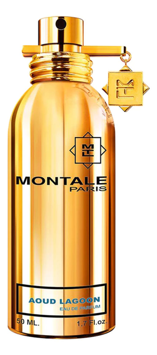 MONTALE Aoud Lagoon unisex 50ml edp