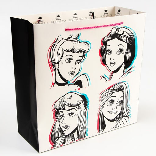 Пакет подарочный, 30×30×12 см, упаковка, Принцессы