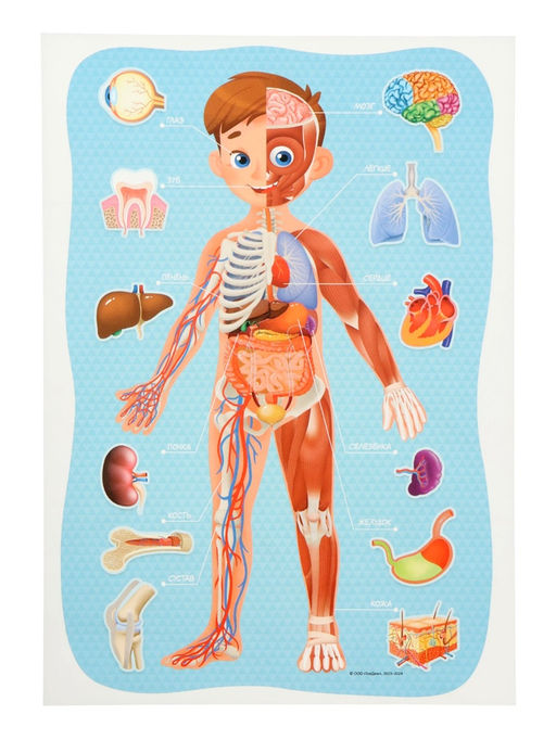 Большой подарок ГЕОДОМ «Выпускнику детского сада» 7 в 1