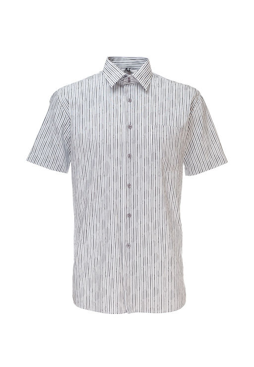 Сорочка мужская короткий рукав GREG Gb313/309/5/Z/2b  фото 4