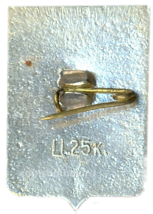 Значок Демянск