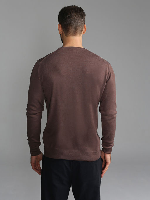 Джемпер мужской GREG G121-EV (какао)  фото 8