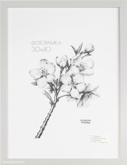 Фоторамка 30х40 / ZR208B-19 /с акрил. стеклом/уп10 ф