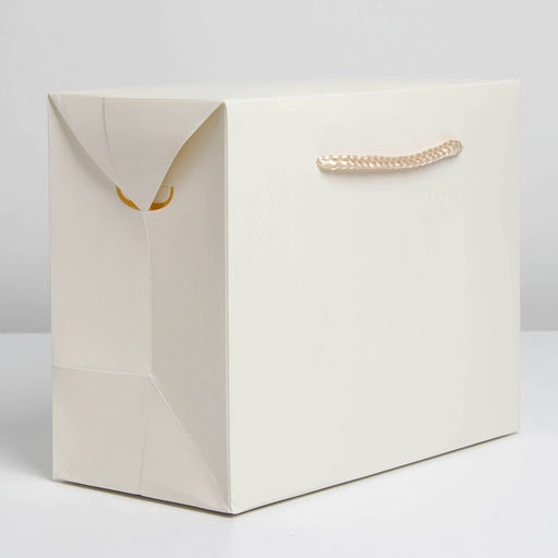 Пакет—коробка, подарочная упаковка, «Белый», 28×20×13 см