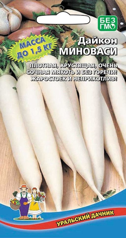 Дайкон МИНОВАСИ Не уходит в стрелку! Вкус деликатесный, массой до 1 кг! Помогает при болезнях почек, печени, угнетает вредную микрофлору в кишечнике!