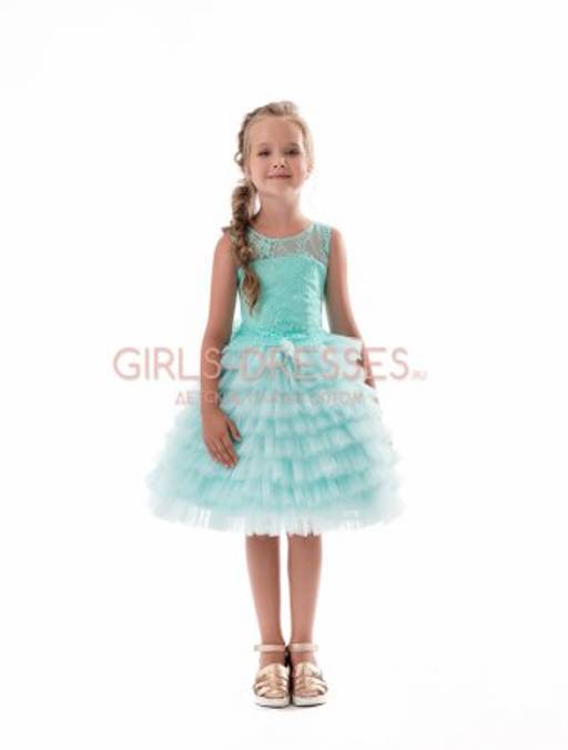 Модель DSC_2014