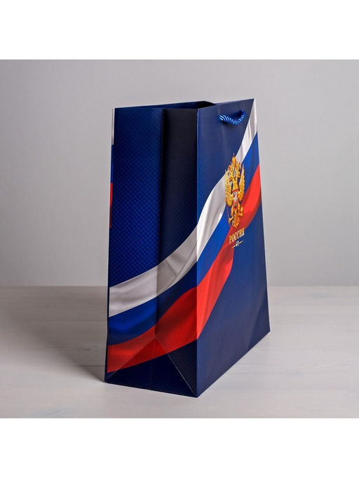 Цена за 2 шт. Пакет подарочный, упаковка, «Россия», 25×32×12 см