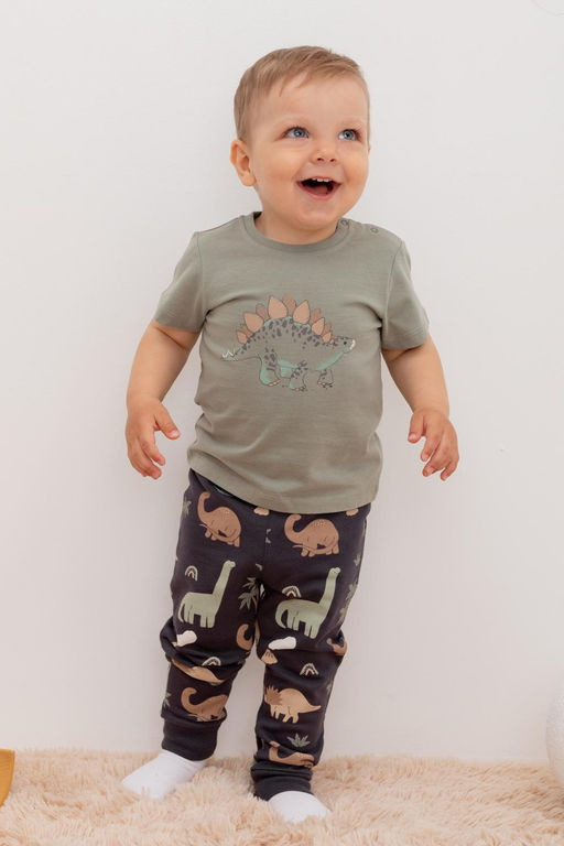 КР 400581/графит,динозавры к400 брюки д/мал яс