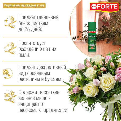 Аэрозоль блеск для листьев "Bona Forte" баллон 300мл