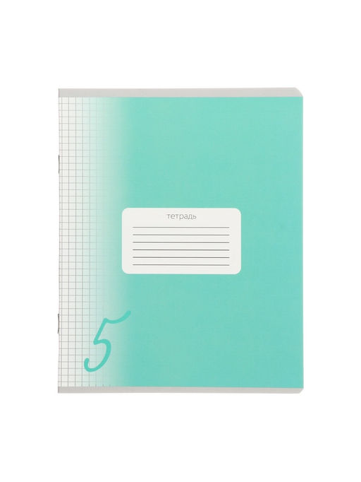 Комплект тетрадей из 10 штук, 24 листа в клетку Calligrata "Пятёрка", обложка мелованный картон, ВД-лак, блок офсет, 5 видов по 2 штуки