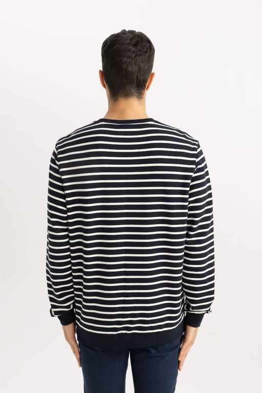 Толстовка в полоску Modern Fit с круглым вырезом - Defacto фото 5