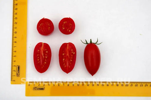 Томат Джек Пот - Партнер фото 8