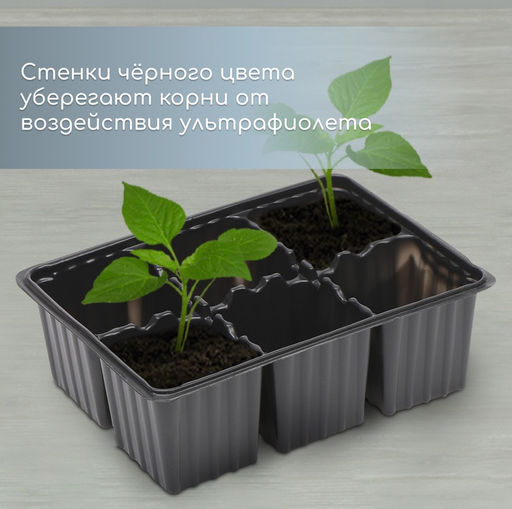 Цена за 4 шт. Кассета для рассады, 6 ячеек по 120 мл, пластик, чёрная, набор 5 шт. - Simaland фото 4