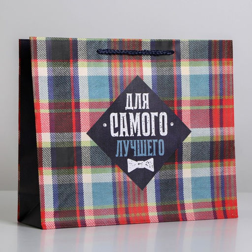 Цена за 2 шт. Пакет подарочный ламинированный, упаковка, For real man, ML 25?21?8 см