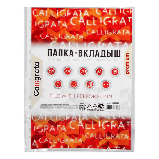 Файл - вкладыш Calligrata, А4, 60 мкм, плотные, матовый, вертикальный, 100 штук  фото 3