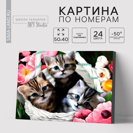 Картина по номерам на холсте с подрамником «Котята», 40×50 см
