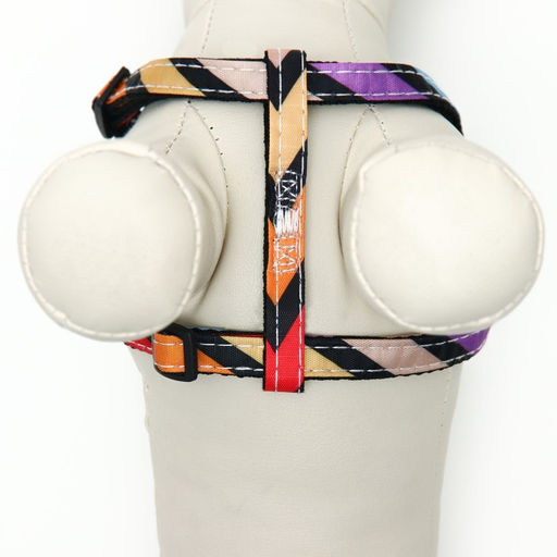 Комплект амуниции двухслойный, размер S, поводок 120 х 1 см, ОШ 24-38 см, ОГ 29-41 см, разноцветный - Пижон фото 8