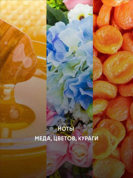 Кофе Эфиопия Лато / зерно - Калипсо фото 4