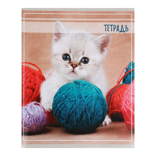 Комплект тетрадей из 5 штук, тетрадь 36 листов в клетку Calligrata Котята, обложка мелованный картон, блок офсет  фото 6