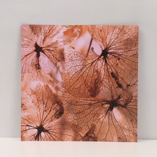 Фотофон для съёмок, двусторонний, картон, плотность 350 г Цветы, 50?50 см - Арт узор фото 4