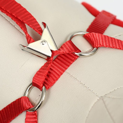 Комплект с мягкой шлейкой и бантиком Якорь, размер S, поводок 120 x 1,5 см, ОГ 23-42 см, красный - Пижон фото 8