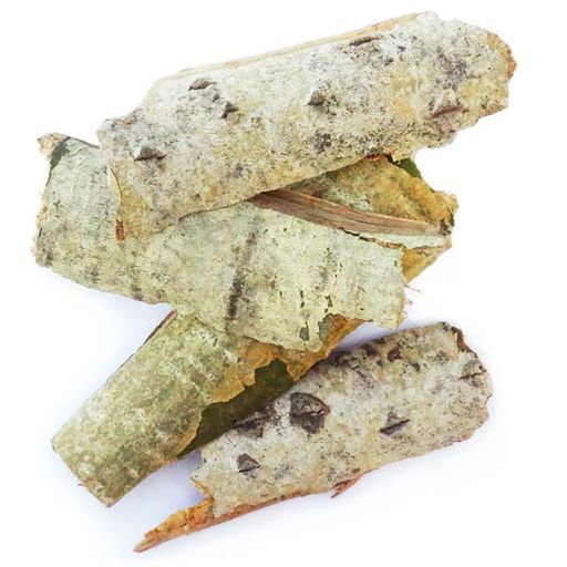 2 шт. Осина (кора) - Мариславна фото 2