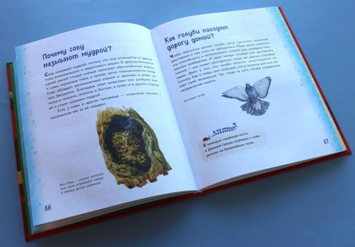 Миллион вопросов о животных, обо мне и мире вокруг и самых разных любопытных вещах
