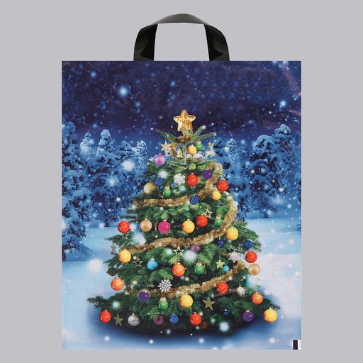 Цена за 20 шт. Пакет новогодний «Зимняя красавица», полиэтиленовый с петлевой ручкой, 28×35 см, 50 мкм
