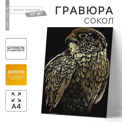 Цена за 3 шт. Гравюра «Сокол» с металлическим эффектом золота А4