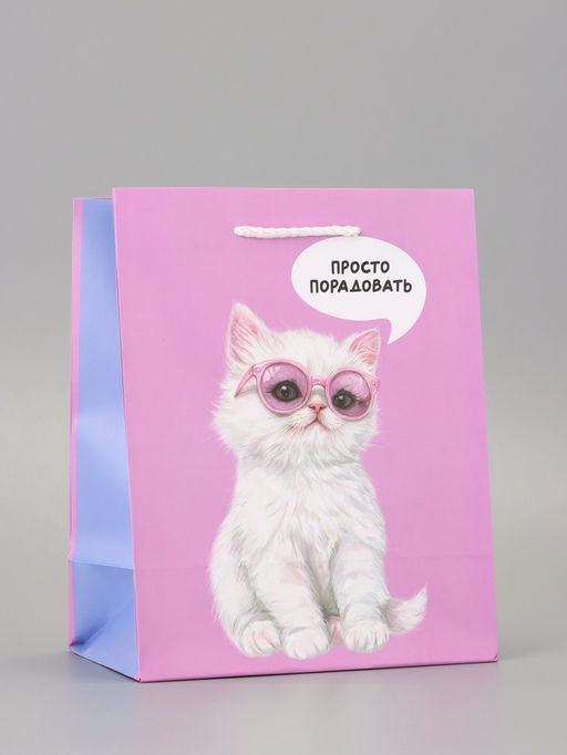 Цена за 2 шт. Пакет подарочный ламинированный «Порадовать» 18×22.3×10 см