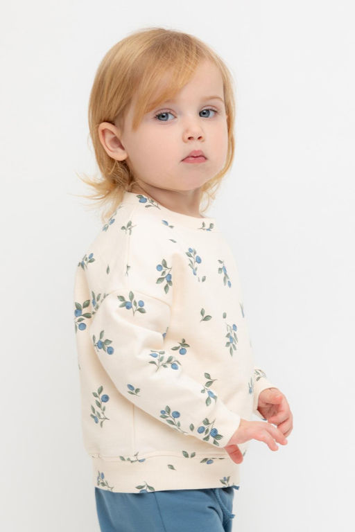 Crockid _ КР 302308/айвори,голубика к561 джемпер (свитшот) д/дев яс  фото 4