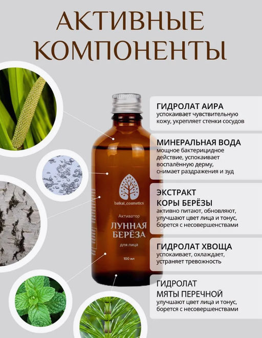 Активатор Лунная берёза для лица 100 мл - Baikal cosmetics фото 2