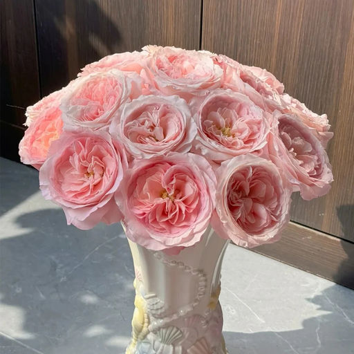 Роза Майра Роуз