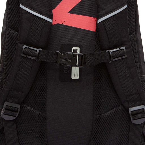 RU-430-9 Рюкзак - Grizzly фото 21