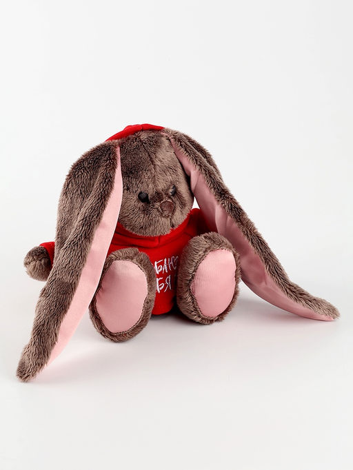 Мягкая игрушка «Зайка Li&Lu в худи»