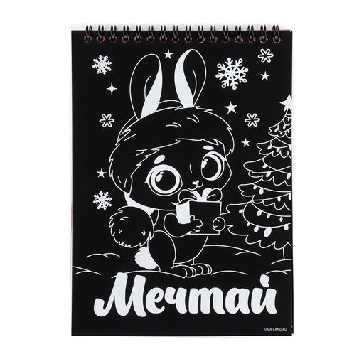 Блокнот гравюра - раскраска на новый год «Поверь в мечту», 10 листов