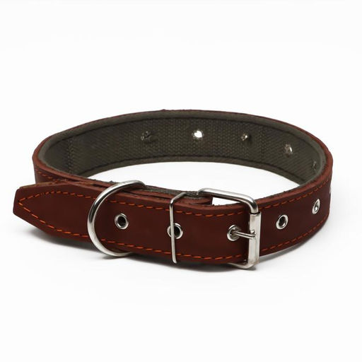 Ошейник комбинированный кожа/брезент, безразмерный, 70 х 3,5 см, ОШ 25-60 см, коричневый - Пижон фото 2