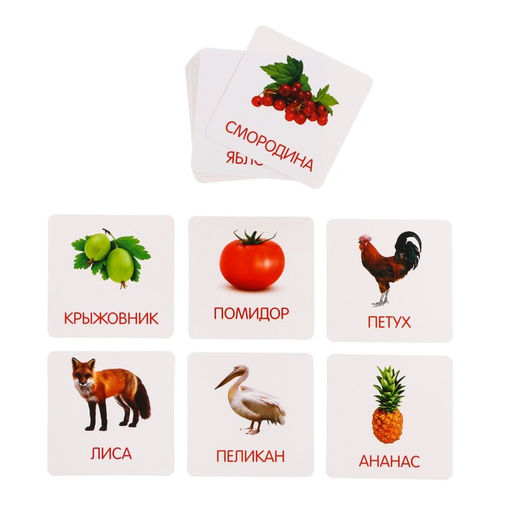 Развивающий набор с молоточками Карточки Г.Домана - Iq-zabiaka фото 2