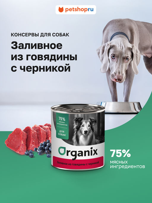 Консервы для собак Заливное из говядины с черникой 22ел16
