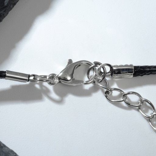 Цена за 2 шт. Кулон унисекс «Клык дракона», цвет чёрный на чёрном шнурке, 45 см