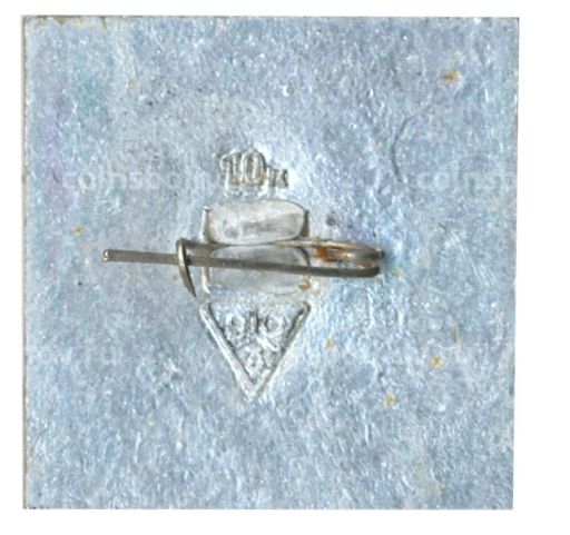 Значок Владимир