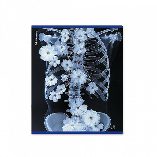 Цена за 5 шт. Тетрадь общая ученическая ErichKrause Flower Ray, 48 листов, клетка, металлизированный голографический картон_MIX-PACK  фото 6