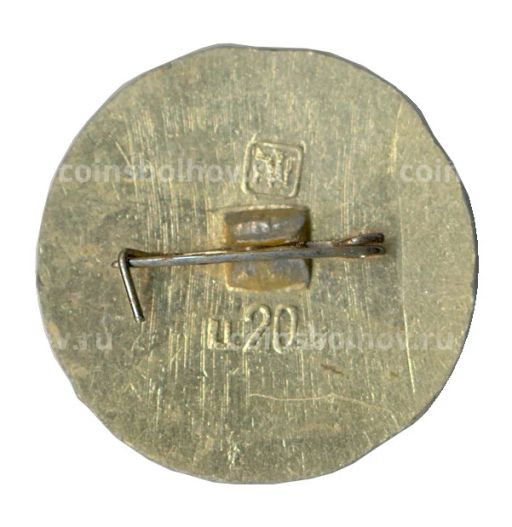 Значок Золотое кольцо  Плёс