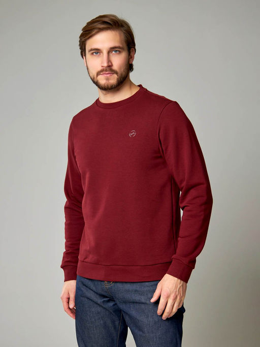 Толстовка мужская арт. 05198 - F5 фото 4