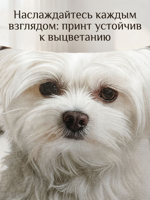 Наволочка декоративная Болонка 3D
